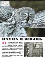 Обложка журнала