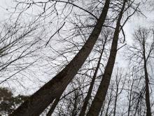 Фото к мероприятию