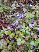 Фото к мероприятию