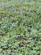 Фото к мероприятию