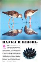 Обложка журнала